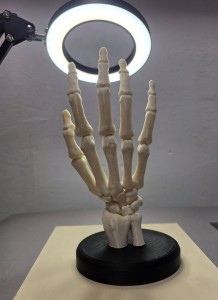 dłońmodel.jpg