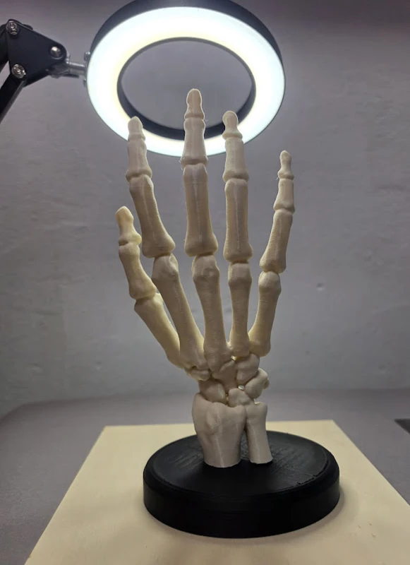 dłońmodel.jpg